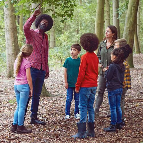 children and adult learning in the forest
