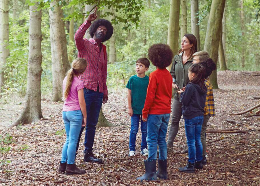 Man with kids looking up at trees