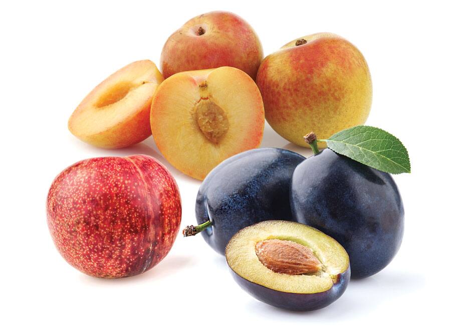 Plums