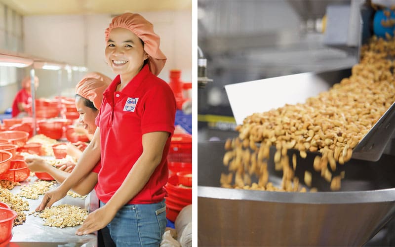 Employees sorting cashews; packaged cashews.