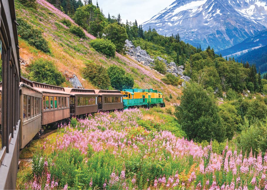 train