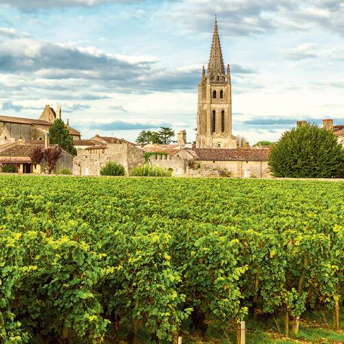 Vineyard with building in the background
