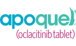 apoquel® (oclacitinib tablet)