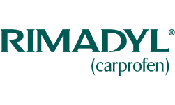 Rimadyl® (carprofen)