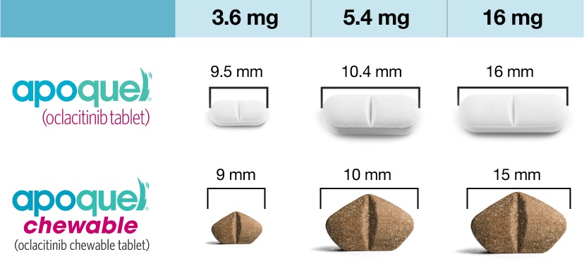 Apoquel® (oclacitinib tablet) doses: 3.6mg (9.5mm length), 5.4mg (10.4mm length), 16mg (16mm length). Apoquel® chewable (oclacitinib chewable tablet) doses: 3.6mg (9mm length), 5.4mg (10mm length), 16mg (15mm length)