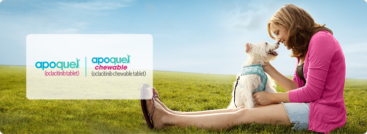 Apoquel® (oclacitinib tablet). Apoquel® chewable (oclacitinib chewable tablet).