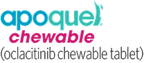Apoquel® chewable (oclacitinib chewable tablet)