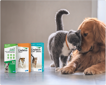 Credelio Quattro™; Credelio™(lotilaner); Credelio™ CAT (lotilaner)